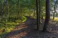 The low sun shines at a path through the forest called `The smugglers route` near Strijbeek, Netherlands