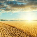 Low sun under clouds and harvesting field Royalty Free Stock Photo