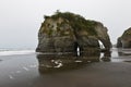 Tongaporutu Beach on North Island New Zealand