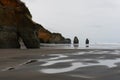 Tongaporutu Beach on North Island New Zealand