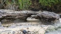 Low tide. Attached mollusks are visible on the exposed rock arch.