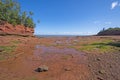 Low Tide in the Bay of Fundy