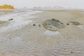 Low tide beach in the evening at Ko Yao Noi, Thailand Royalty Free Stock Photo