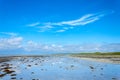 Low tide beach landscape