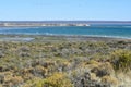 Low tide beach, Peninsula Valdes, Royalty Free Stock Photo