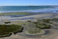 Low tide beach, Peninsula Valdes, Royalty Free Stock Photo