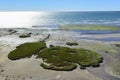 Low tide beach, Peninsula Valdes, Royalty Free Stock Photo