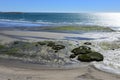 Low tide beach, Peninsula Valdes, Royalty Free Stock Photo