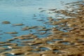 Low tide on the beach