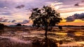 Low tide at the beach during sunset , Thailand