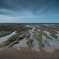 Low Tide coastal landscape in Peninsula Valdes, World Heritage Site,