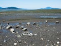 Low tide coastal scenery at Bay View State Park, WA, USA