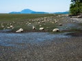 Low tide coastal scenery at Bay View State Park, WA, USA