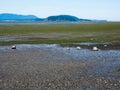 Low tide coastal scenery at Bay View State Park, WA, USA