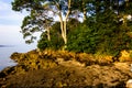 Low Tide on Cousins Island, Maine