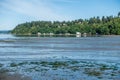 Low Tide At Dash Point 3