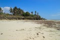 Low tide on Diani Beach, the coast of the Indian Ocean. Kenya Royalty Free Stock Photo