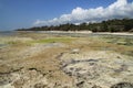 Low tide on Diani Beach, the coast of the Indian Ocean. Kenya Royalty Free Stock Photo