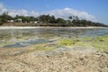 Low tide on Diani Beach, the coast of the Indian Ocean. Kenya Royalty Free Stock Photo