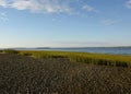 Low Tide at Dubury Bay with Rock Beach and Marsh Grass Royalty Free Stock Photo