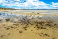 Low tide Tasmania