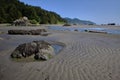 Low tide exposes rippled sand, seaweed, pools at Whaleshead Beach