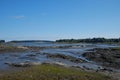 Low Tide exposing rocks, boulders and fallen trees in a Maine Ma Royalty Free Stock Photo