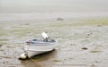 Low tide in fog Royalty Free Stock Photo