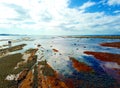 Low tide at Long Reef Headland Royalty Free Stock Photo