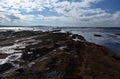 Low tide at Long Reef Headland Royalty Free Stock Photo