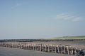 Low Tide at Mando Royalty Free Stock Photo