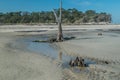 Low tide on the beach