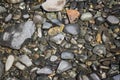 Low Tide Ocean Rocks Royalty Free Stock Photo