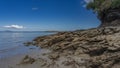 Low tide in the ocean. The rocks of the seabed have been exposed Royalty Free Stock Photo