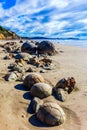 Boulders Moeraki on a sandy beach