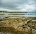 Low tide at Pennington Bay, Kangaroo Island, South Australia. Royalty Free Stock Photo