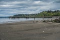 Low Tide And Pier 3 Royalty Free Stock Photo