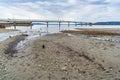 Low Tide Pier 4 Royalty Free Stock Photo