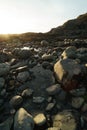 Low tide tide pools exposed at sunset Royalty Free Stock Photo