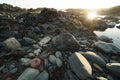 Low tide tide pools exposed at sunset Royalty Free Stock Photo
