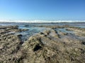 Low tide reveals rocks and tide pools at sea shore Royalty Free Stock Photo