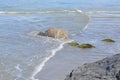 Low tide reveiling seaweed covered rocks