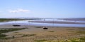 low tide sea beach at bay Arcachon basin in Ares France Royalty Free Stock Photo