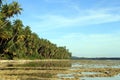 Low tide Royalty Free Stock Photo