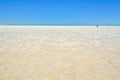 Shell Beach - Denham Royalty Free Stock Photo
