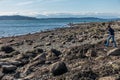 Low Tide Shoreline Royalty Free Stock Photo