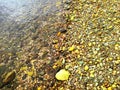 Low Tide at Silver Sands Beach Milford Royalty Free Stock Photo