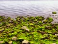 Low Tide at Silver Sands State Park in Milford Royalty Free Stock Photo