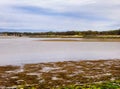 Low Tide at Silver Sands State Park in Milford Royalty Free Stock Photo