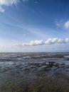 Low tide tideland